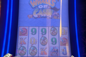 01-13-2026_4.336.25_LuckyWinner