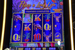 01-30-2026_2488.00_LuckyWinner