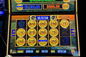 01-30-2026_3737.50_LuckyWinner