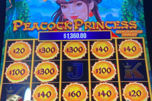 02-05-2025_1360.00_Lucky-Winner