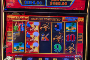 02-05-2025_14750_Lucky-Winner