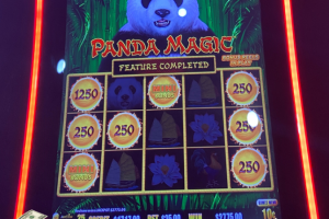 02-06-2026_2775.00_LuckyWinner