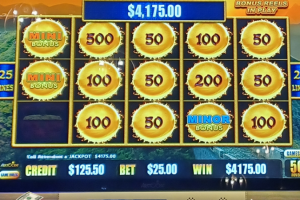 02-12-2026_4175.00_LuckyWinner