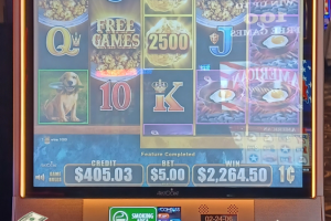 02-13-2026_2264.50_LuckyWinner