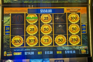 02-13-2026_7610.14_LuckyWinner