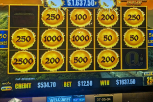 02-14-2026_1637.50_LuckyWinner