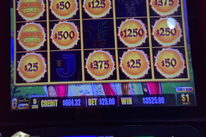 02-14-2026_3525.00_LuckyWinner