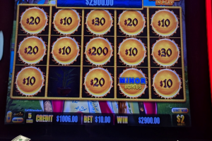 02-25-2026_2900.00_LuckyWinner
