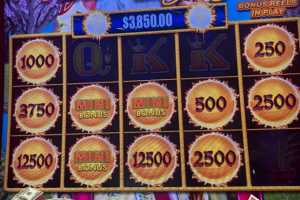 02-28-2025_3850_Lucky-Winner