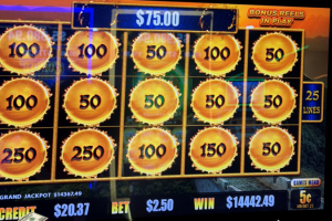 03-01-2026_14442.49_LuckyWinner