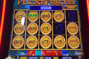 03-01-2026_3317.45_LuckyWinner