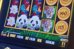 03-06-2026_3540.00_LuckyWinner