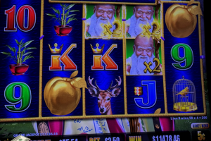 03-08-2026_11478.46_LuckyWinner