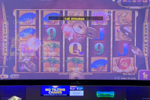 03-08-2026_8992.74_LuckyWinner