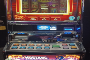 03-10-2026_4894.00_LuckyWinner
