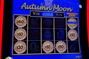 03-18-2026_2664.00_LUCKYWINNER