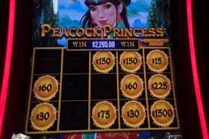 03-20-2026_2295.00_LUCKYWINNER