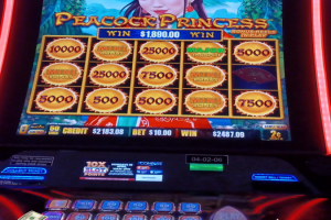 03-25-2026_2487.00_LUCKYWINNER