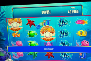 03-27-2026_4959.00_LUCKYWINNER