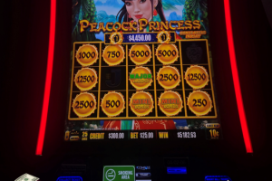 03-27-2026_5182.63_LUCKYWINNER