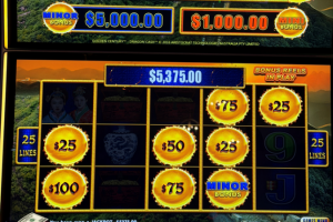 03-27-2026_5375.00_LUCKYWINNER