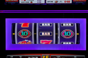 04-03-26_5000.00_LUCKYWINNER1