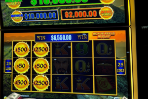 04-03-26_6550.00_LUCKYWINNER