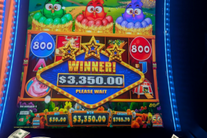 04-04-26_3350.00_LUCKYWINNER