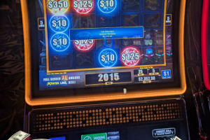04-05-26_2015.00_LUCKYWINNER
