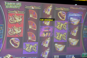 04-05-26_2322.50_LUCKYWINNER