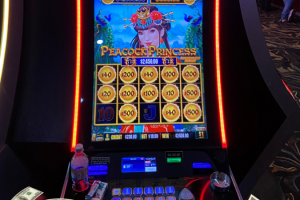 04-05-26_2450.00_LUCKYWINNER