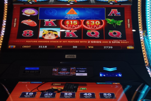 04-07-2026_2739.00_LUCKYWINNER