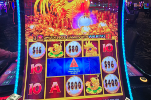 04-08-2026_3356.00_LUCKYWINNER