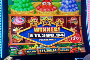 04-11-2026_11398.94_LUCKYWINNER