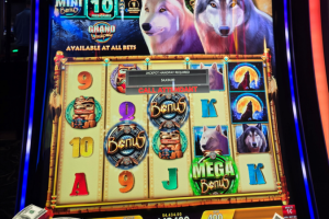 05-15-2025_4434_Lucky-Winner