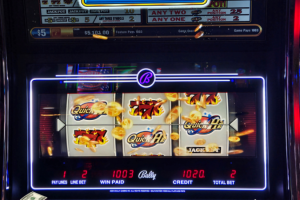 08-04-2024_5015_Lucky-Winner