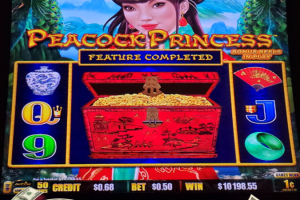 10-26-2024_10198.55_Lucky-Winner