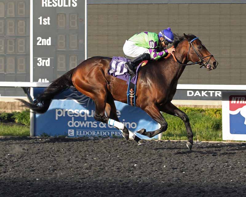 Horse Racing at Presque Isle Downs & Casino in Erie, PA