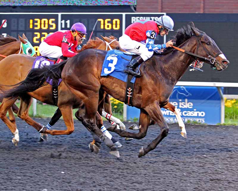 Horse Racing at Presque Isle Downs & Casino in Erie, PA
