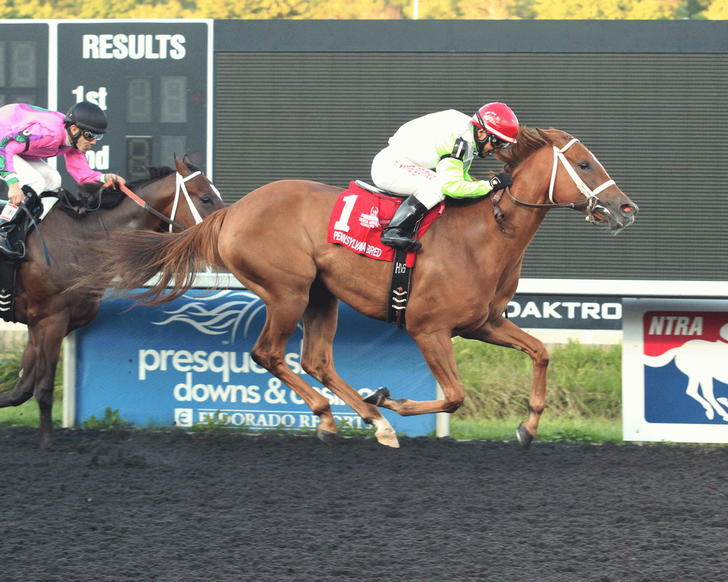 DIAMOND-DOLLAR-The-Mark-McDermott-Stakes-5th-Running-09-04-16-R05-PID-001