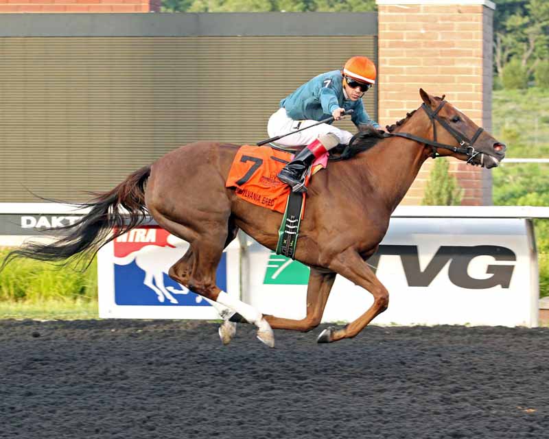 Horse Racing at Presque Isle Downs & Casino in Erie, PA