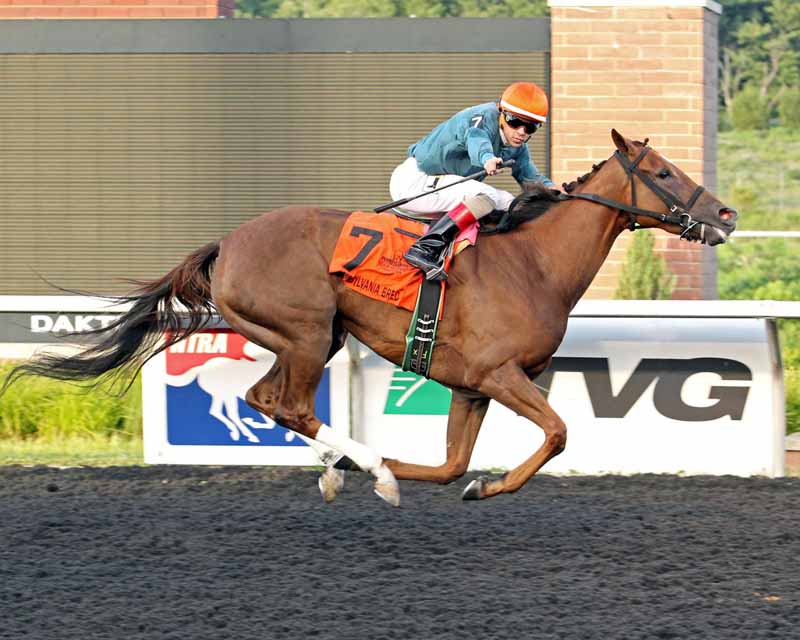 IMPLY-The-9th-Running-of-The-Northern-Fling-Stakes-07-09-17-R06-PID-Finish-1