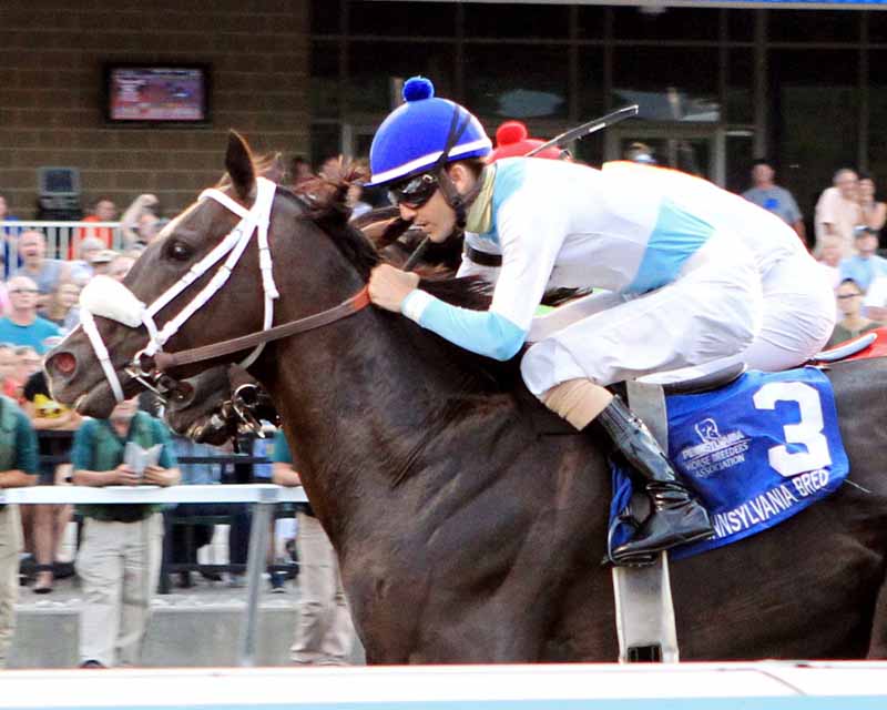 Horse Racing at Presque Isle Downs & Casino in Erie, PA