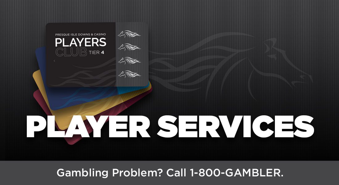player services