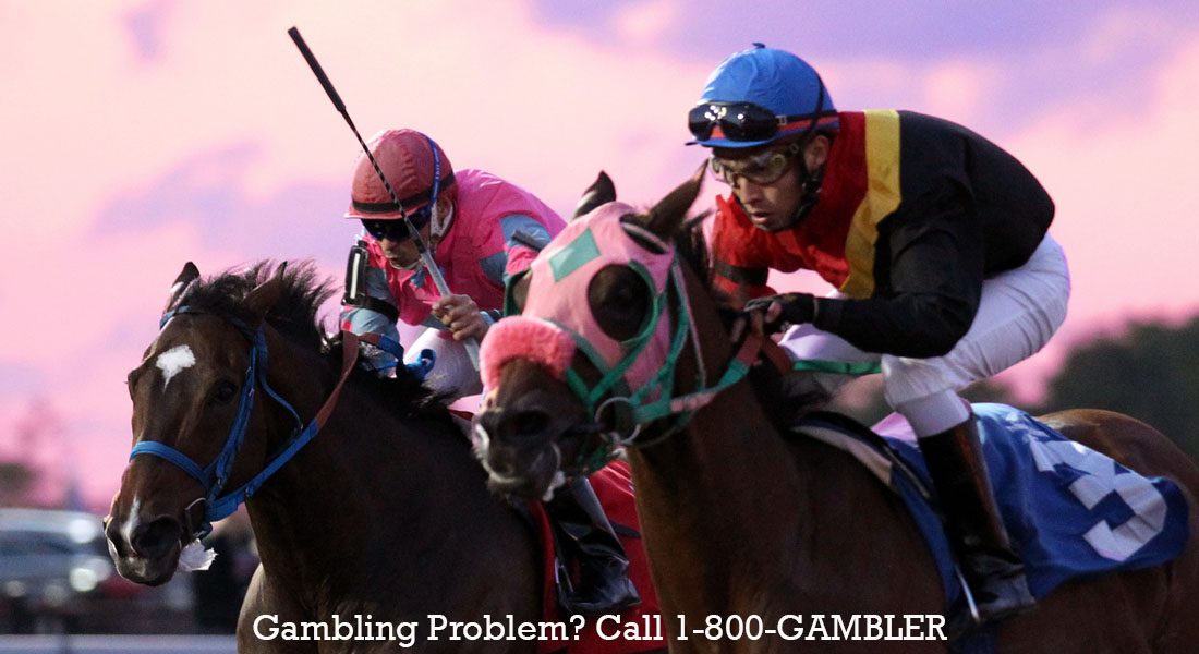 Racing_1100x600