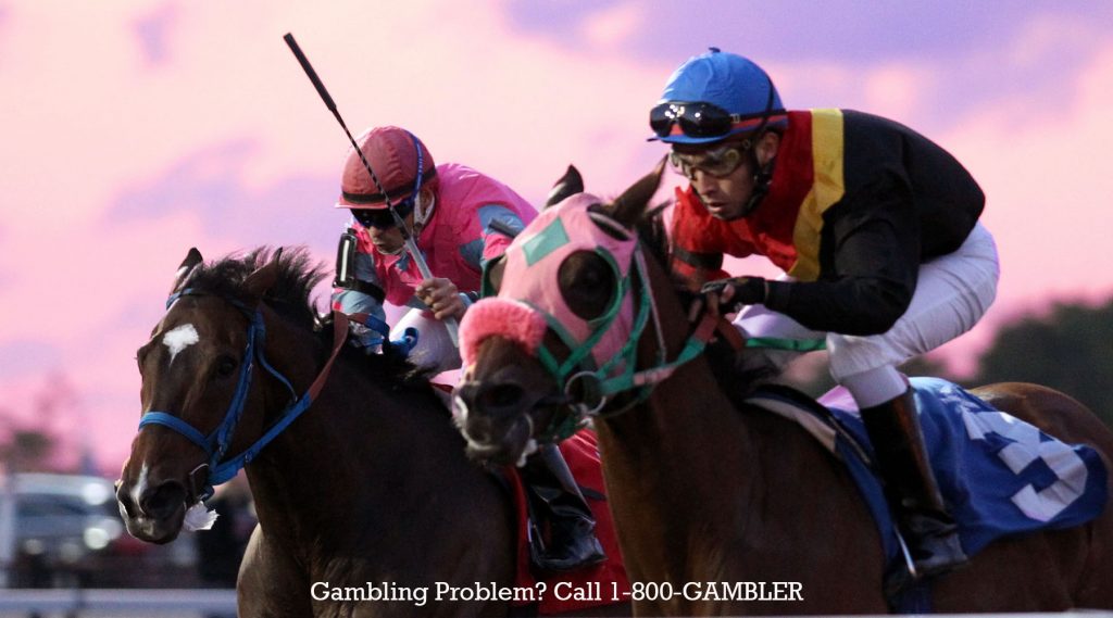 Gambling problem