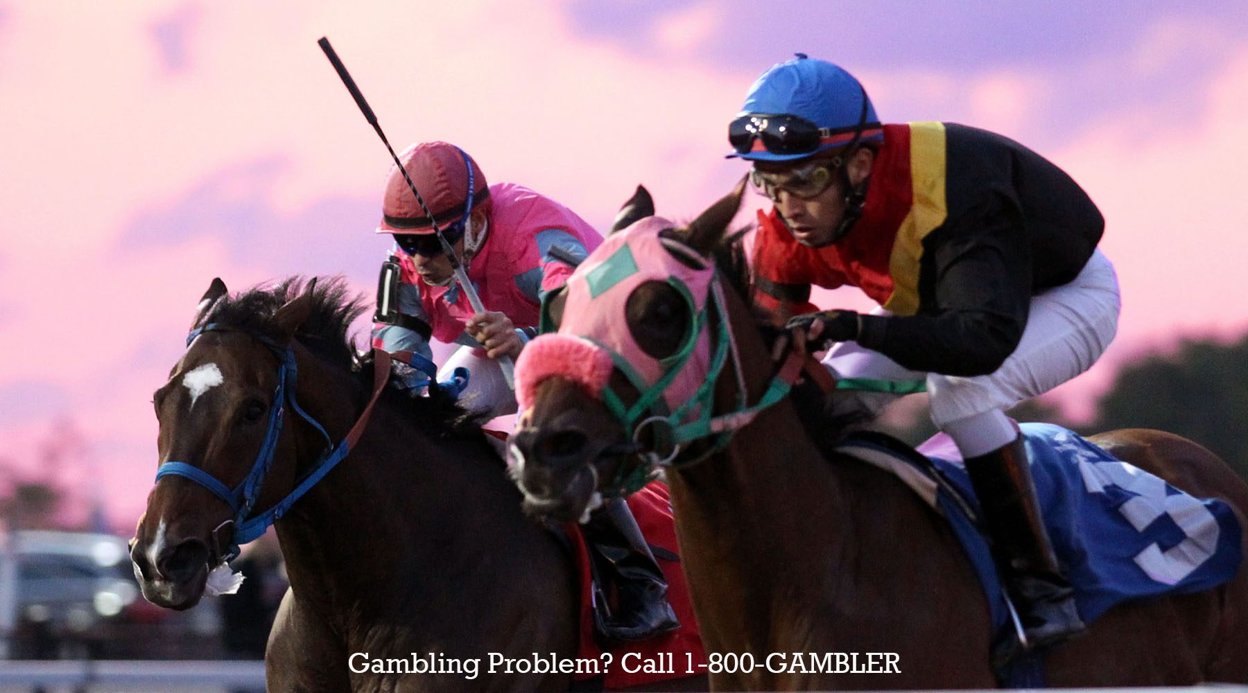 Live Racing Calendar - Presque Isle Downs