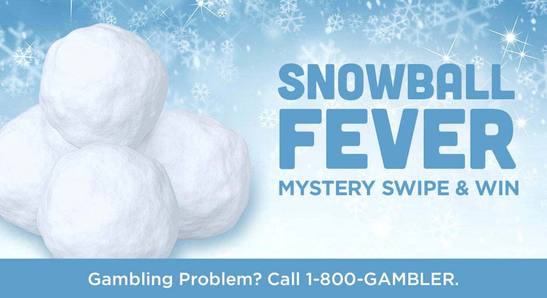 Snowball_Fever_Web_1100x600