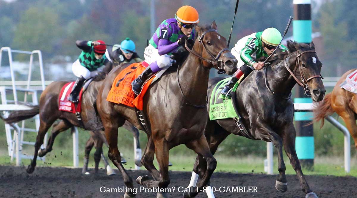 Race Information Presque Isle Downs