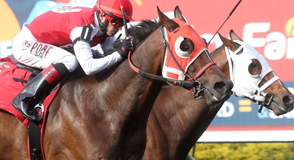 Resources for Live Horse Racing 